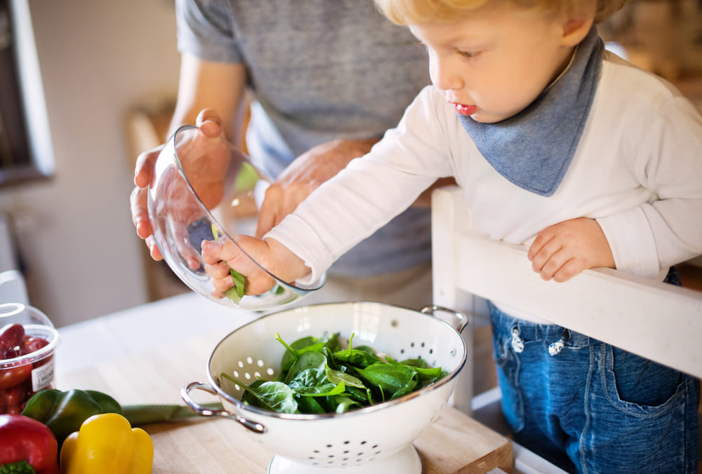 Micronutrientes y desarrollo infantil