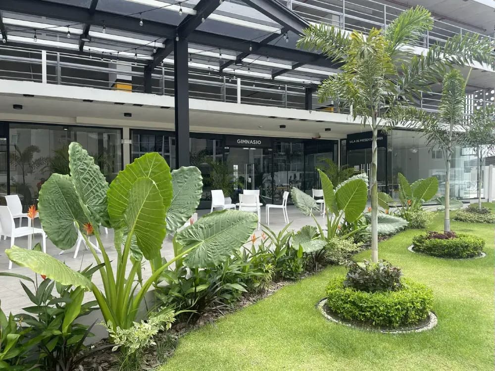 Apartamentos con buena ubicación en Panamá Viejo 5