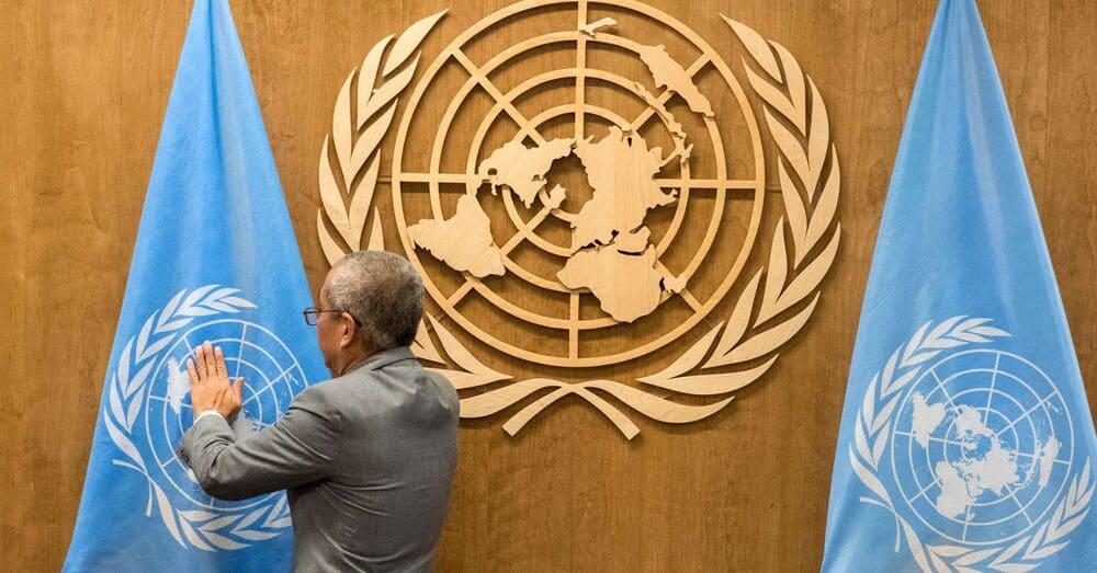 How to Get a Job at the UN, According to Loreto Ferrer Moreu