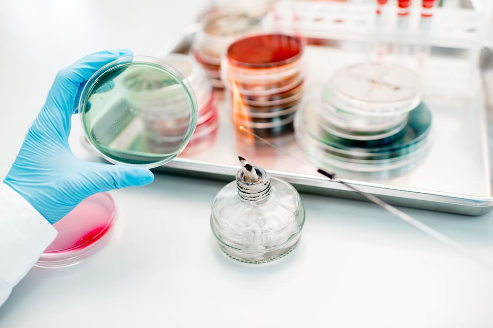 aporte del tecnologo medico