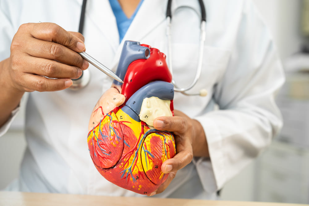 Consulta cardiológica