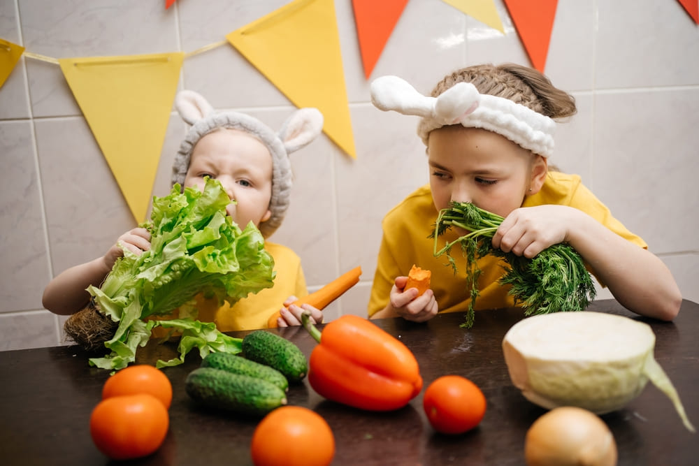 Curso de alimentación infantil