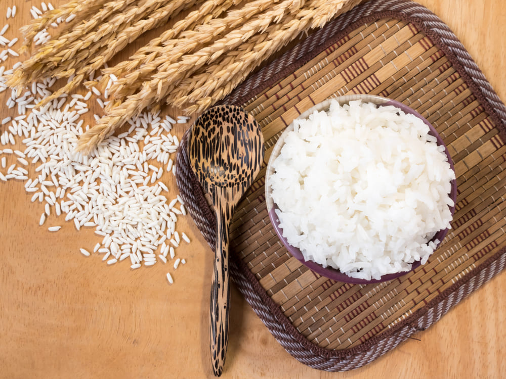 Alimentación infantil y arroz blanco