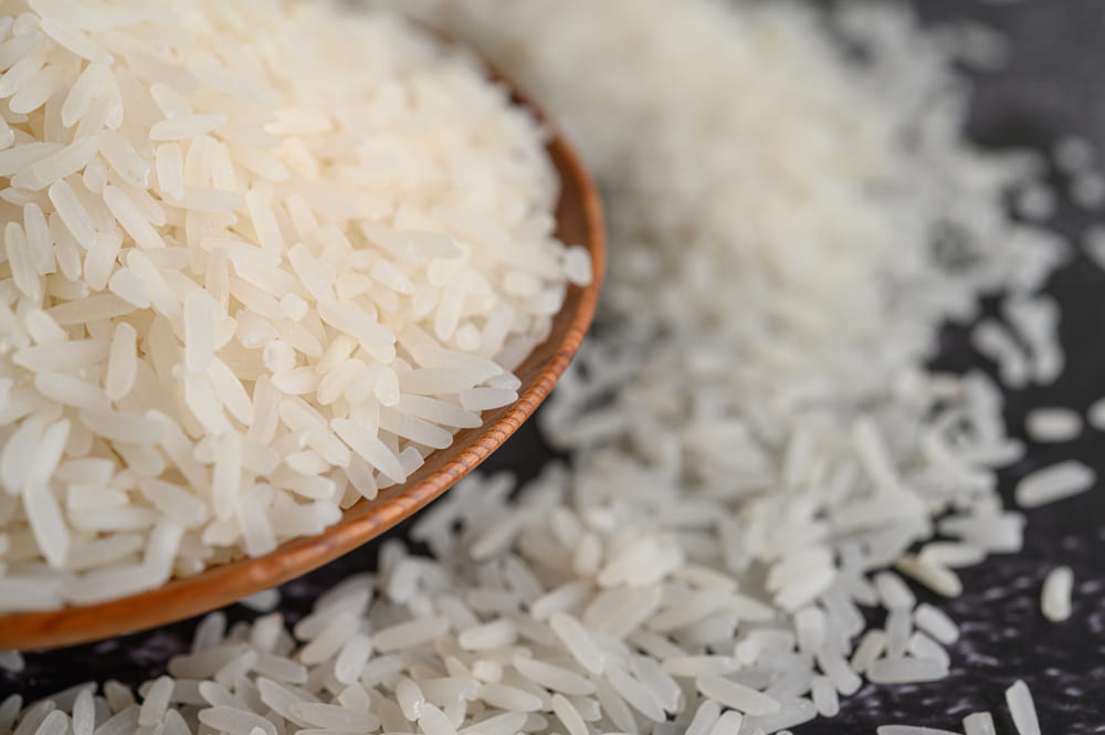 Arroz y proteínas vegetales