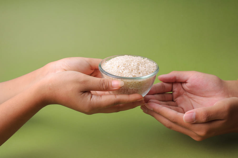Cómo el arroz proporciona energía al organismo